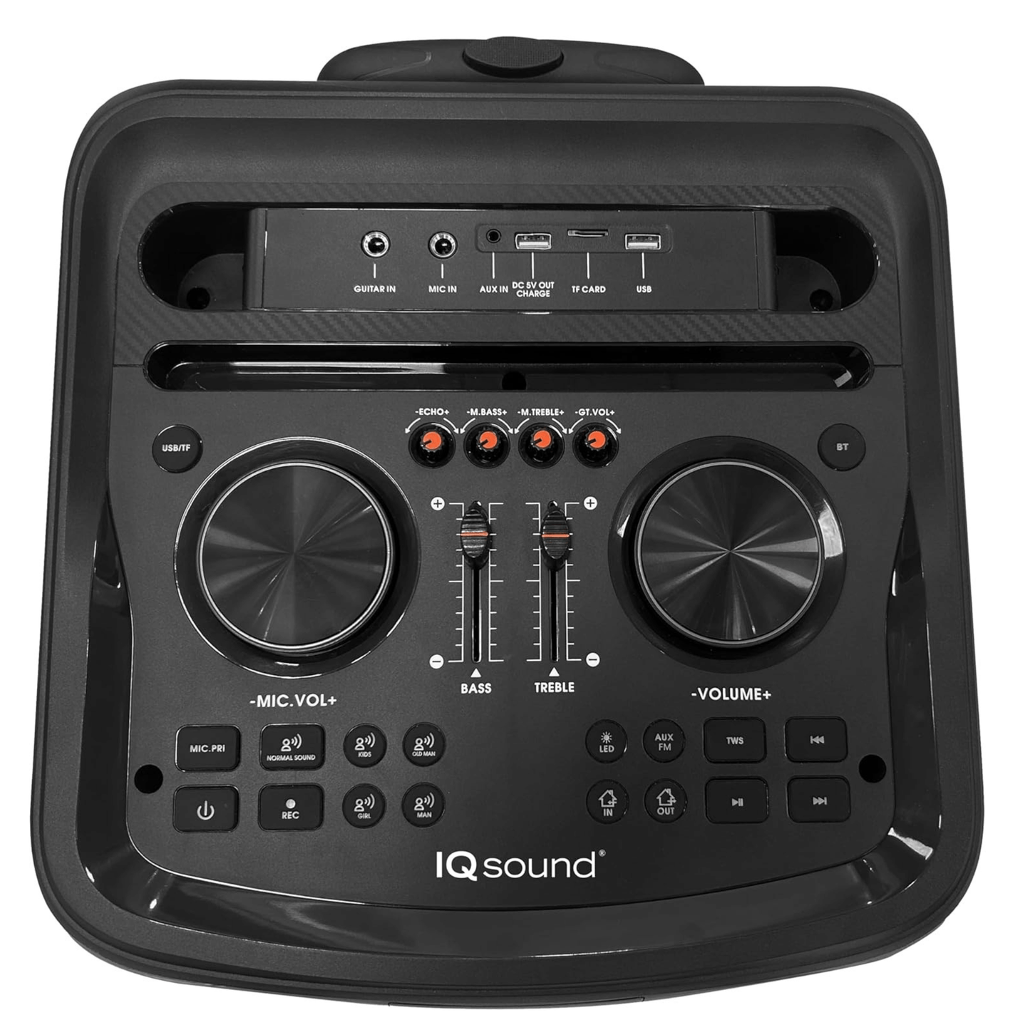 IQ Sound CYBER FLEX12 12-Inch Portable Bluetooth Party Speaker